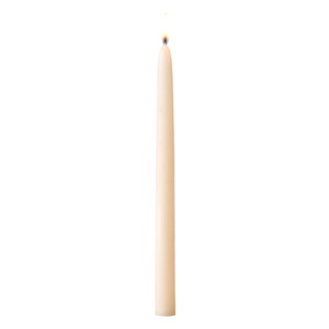Gala, Gala Spitzkerze Chandel; 2.2x26 cm (ØxH); cremeweiss; 50 Stück / Pack