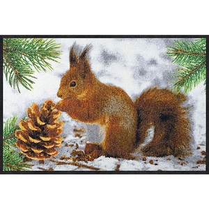 undefined, Türvorlage Eichhörnchen 50x75 cm, Türvorlage Eichhörnchen 50x75 cm