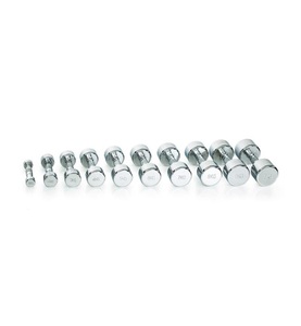 Gymstick, Gymstick - Kurzhantel Pro Chrome 1.5 kg - Silber, Chromehanteln
