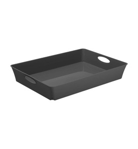Rotho, Rotho - Aufbewahrungsbox Living Box C4 / 4.5 l Anthrazit, Allzweckbox 4.5L, C4, anthraz