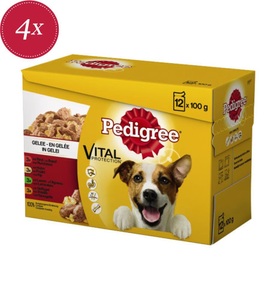 Pedigree, Pedigree Hundefutter in Gelee Selektion 12x100g, Pedigree Vital Protection Gelée 4x12x100g