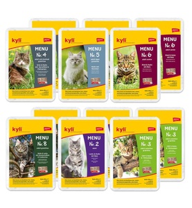 kyli, Kyli - Menu Mischkarton - 12 x 100g, kyli Menu Mischkarton