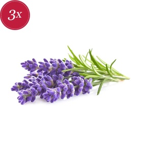 undefined, Click & Grow - 3er-Set Nachfüllpackungen für Smart Indoor-Garten - Lavendel, Click and Grow Saatgut Lavendel
