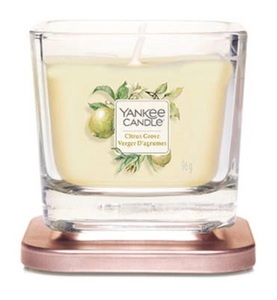 Yankee Candle, Yankee Candle - Duftkerze Citrus Grove Small - 96 g, 