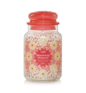 undefined, Yankee Candle - Duftkerze Discovery - 623 g, 