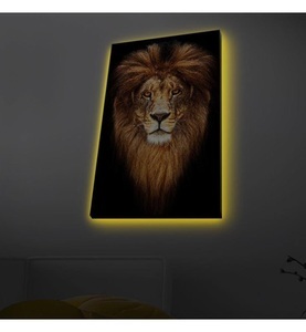 undefined, Home - Dekoratives Leinwandbild LED, 45 x 70 cm - Multicolor, 