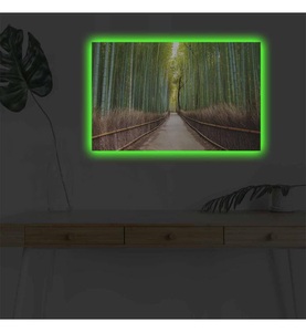 undefined, Home - Dekoratives Leinwandbild LED, 45 x 70 cm - Multicolor, 