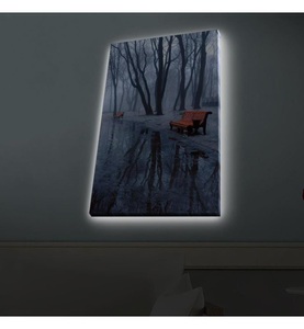 undefined, Home - Dekoratives Leinwandbild LED, 45 x 70 cm - Multicolor, 