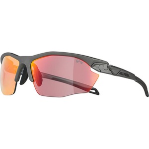 Alpina, Alpina Twist Five HR QVM+ Brille grau 2022 Brillen, Alpina Twist Five HR QV Sportbrille grau