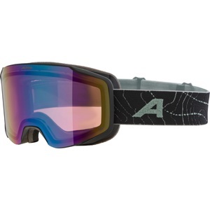 Alpina Taos Q Skibrille