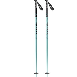 Scott, Scott SEA Skistöcke, Scott SEA Skistöcke