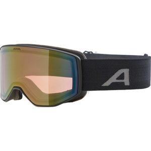 Alpina, Venet Q Skibrille