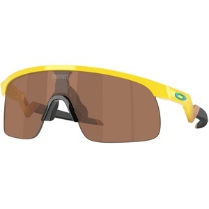 Oakley, Oakley Resistor Sportbrille