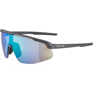 Alpina, ALPINA Herren Radbrille Turbo Pro Q-Lite grau