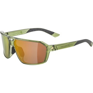 Alpina, Alpina Swift Sportbrille