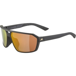 Alpina, Alpina Swift Sportbrille