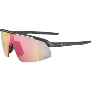 Alpina, Alpina Turbo Pro S Q-Lite Sportbrille