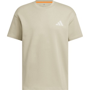 adidas Terrex Herren Xploric GFX T-Shirt