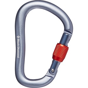 Black Diamond, Black Diamond Rocklock Screwgate Karabiner gray 2020 Karabiner