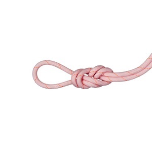 Mammut, Mammut Besonders abriebfestes Kletterseil für Hallen 9.9 Gym Workhorse Classic Rope rot, Mammut Besonders abriebfestes Kletterseil für Hallen 9.9 Gym Workhorse Classic Rope rot