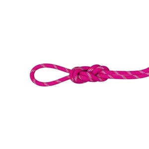Mammut, Mammut Doppelseil für Klettern und Bergsteigen 8.0 Alpine Dry Rope violet, Mammut Doppelseil für Klettern und Bergsteigen 8.0 Alpine Dry Rope violet