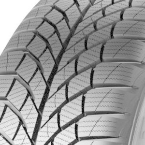 Viking, Viking WinTech NewGen ( 195/55 R16 91H XL EVc )