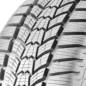 Sava Eskimo HP2 ( 225/45 R17 94V XL  )
