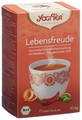 Yogi Tea Bio Tee Lebensfreude 17 Beutel