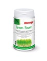 morga Green Power Vegicaps (100 Stück)