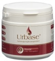 Urbase I Extra Basenpulver Pulver (200 g)