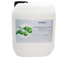 Medidor Massageöl Harmonie (5 Liter)