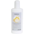 Medidor Massageöl Zitrusfrüchte (250ml)