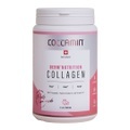 COLLAMIN Derm'Nutrition Collagen Peptide 28 Portionen (480 g)