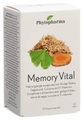 Phytopharma Memory Vital Kapseln (90 Stk)