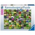 99 Kräuter und Gewürze (Puzzle)