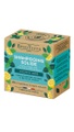 BeauTerra, BeauTerra Shampoo Solide fettiges Haar (75g)