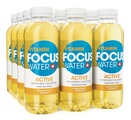 Focus Water, FOCUS WATER active Ananas/Mango (12x50cl)