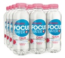 Focus Water, FOCUS WATER CALM Rhabarber/Raspberry (12x50cl)
