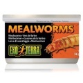 Reptilienfutter Mealworms 34g