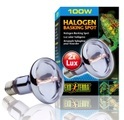 Exo Terra Halogen Basking Spot 100W