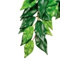 Exo Terra, Exo Terra Jungle Plant Fikus, medium