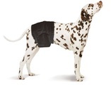 swisspet, Rüdenwindeln M-L schwarz 9er Pack