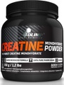 Creatine Monohydrat Powder (550g)
