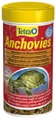 Tetra, Tetra Anchovies