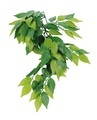 Amazonas, Amazonas Repti Fantasy Plant T 008 72cm