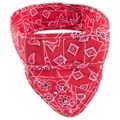 Aqua Coolkeeper, Aqua Coolkeeper Cooling Pet Bandana Red Western S