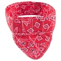 Aqua Coolkeeper, Aqua Coolkeeper Cooling Pet Bandana Red Western XL