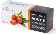 Véritable Lingot® Kirschtomaten Bio