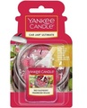 Yankee Candle Red Raspberry Ultimate Car Jar