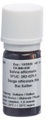AromaSan Salbei Bio Ätherisches Öl (5ml)